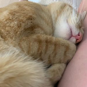 Meet your Posher, Melanie